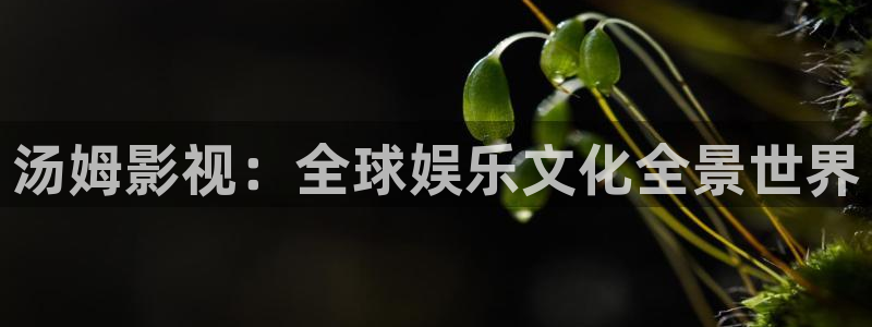 策驰影院在线观看免费高清版